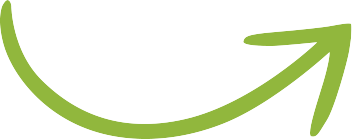 seta